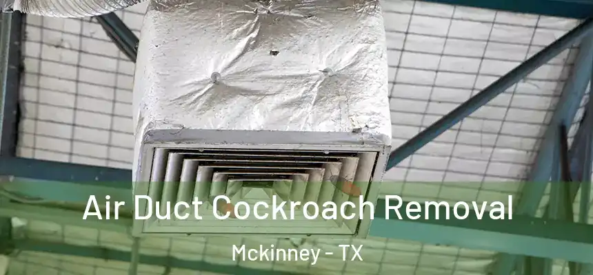 Air Duct Cockroach Removal Mckinney - TX