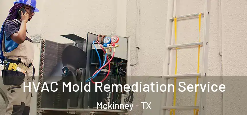 HVAC Mold Remediation Service Mckinney - TX