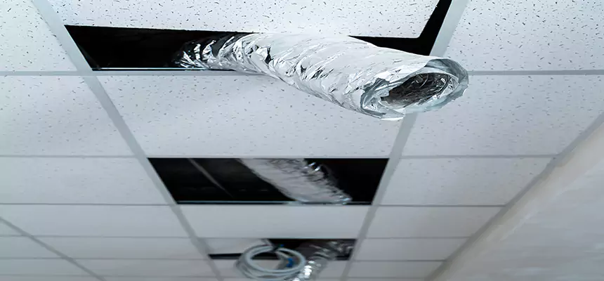 Affordable HVAC Sanitizing After Pest Removal in Mckinney