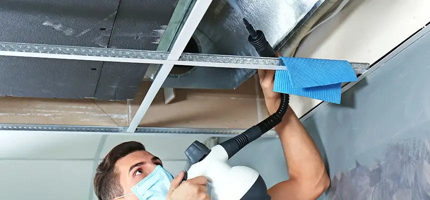 Our Air Duct Rodent Removal Services in Mckinney, TX