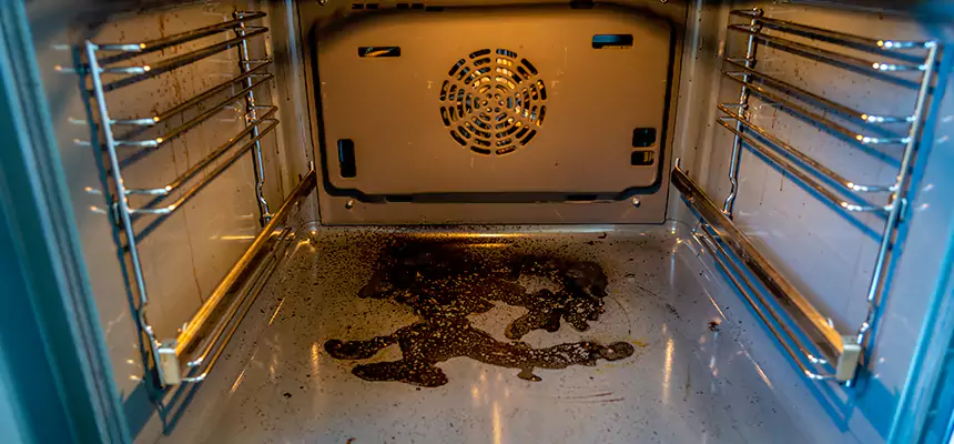 Our Dryer Vent Mold Cleaning Services in Mckinney, TX