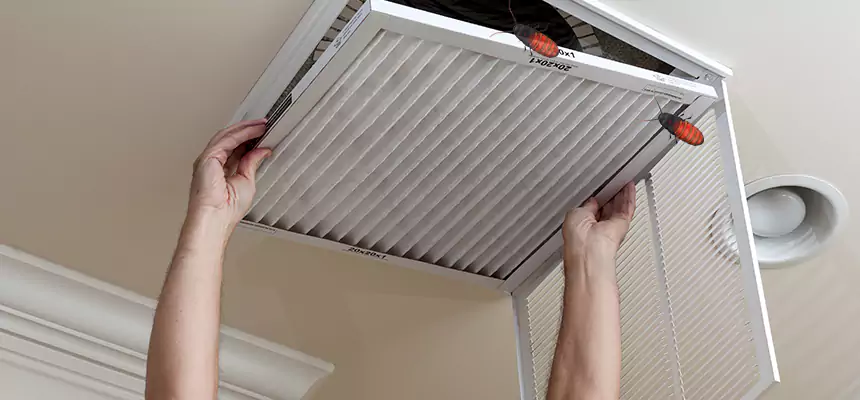 Our Insect Removal from Air Ducts Services in Mckinney, TX