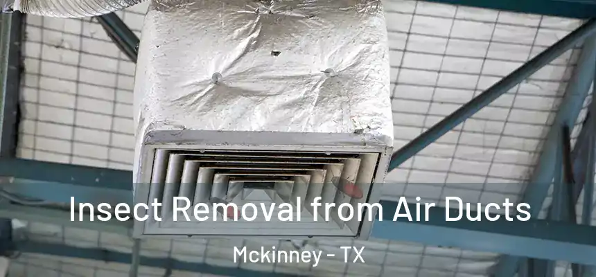 Insect Removal from Air Ducts Mckinney - TX