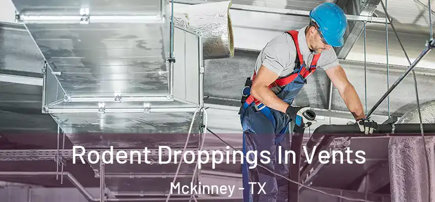 Rodent Droppings In Vents Mckinney - TX