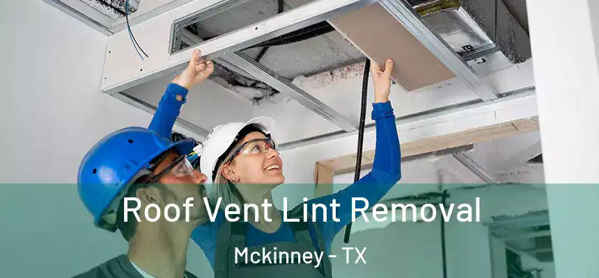 Roof Vent Lint Removal Mckinney - TX