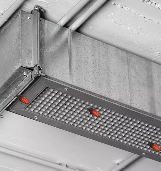 About Air Duct Cockroach Removal in Mckinney, TX