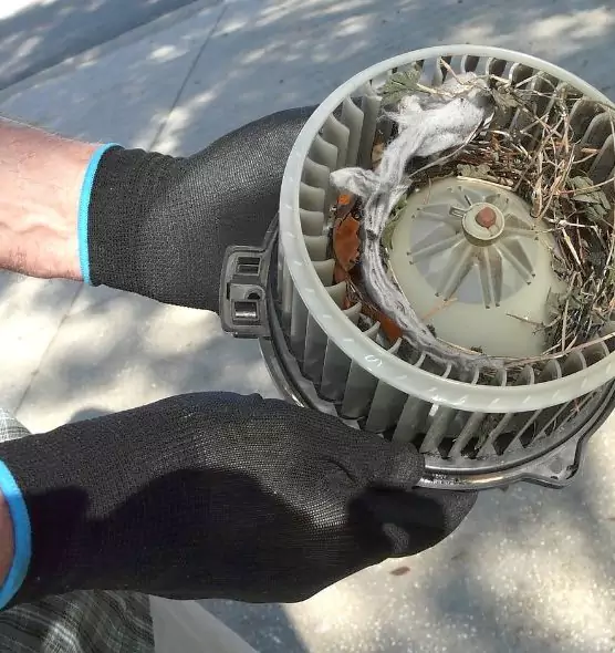 About Air Duct Mice Removal in Mckinney, TX