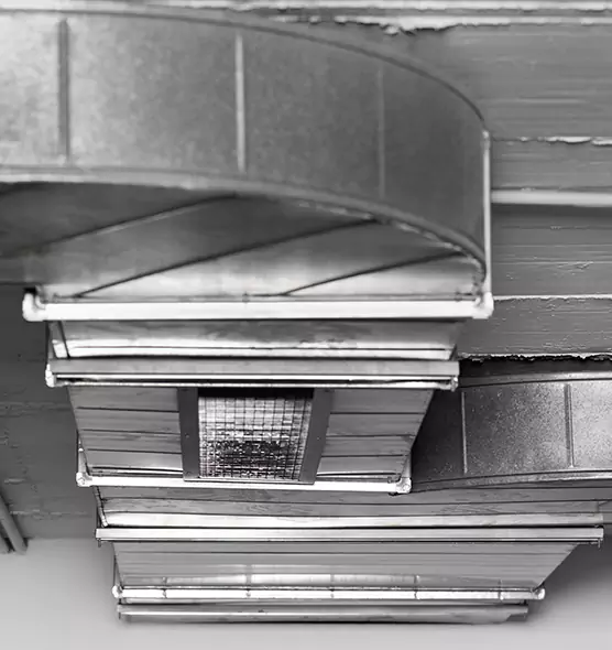 Professional Air Duct Pest Removal in Mckinney, TX