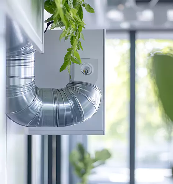 Professional Eco-Safe Dryer Vent Cleaning in Mckinney, TX