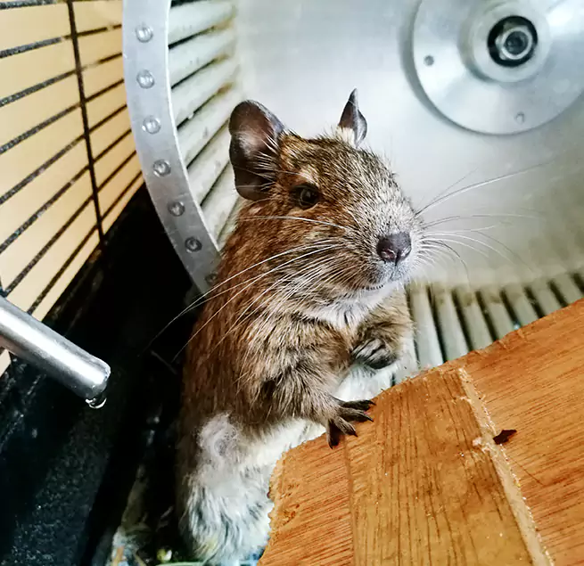 Why Homeowners & Businesses Trust Us Mckinney, TX?