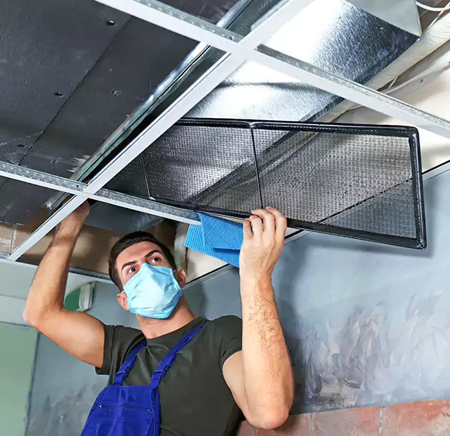 Why Homeowners Businesses Trust Us in Mckinney, TX