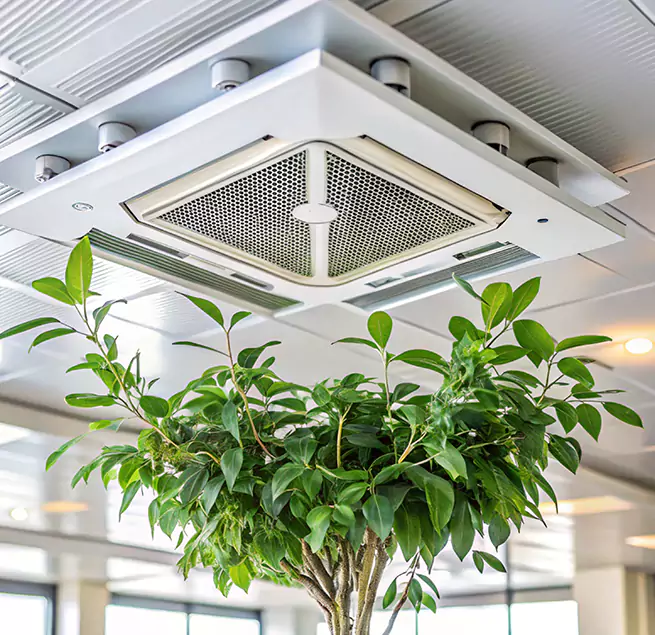 Why Homeowners & Businesses Trust Us in Mckinney, TX?