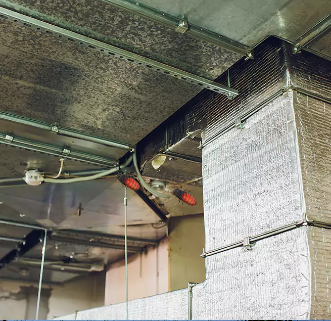 Why Homeowners & Businesses Trust Us Mckinney, TX?