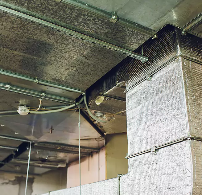 Why Homeowners & Businesses Trust Us in Mckinney, TX?